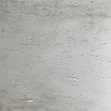 DS005C