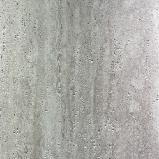 DS006E