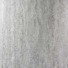 DS011A