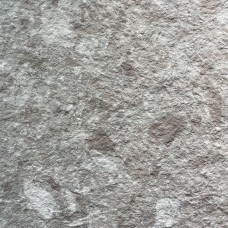 HG010B
